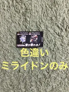 色違いミライドン　のみ