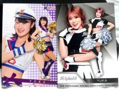 yuka M Splash BBM チアリーダー チア レギュラー カード rc