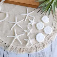 天然素材　ヒトデ　カシパン　ウェルカムスペース　装飾　ナチュラル　海　工作