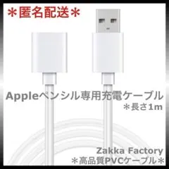 アップルペンシル Apple pencil 第1世代 充電 ケーブル 充電器