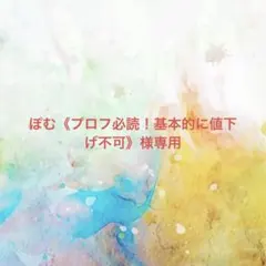 ぽむ《プロフ必読！基本的に値下げ不可》様確認専用ページ【取り置き中　4月13日】