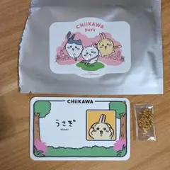 台湾限定 ちいかわDAYS 来場者特典 うさぎ キーホルダー - メルカリ