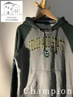 【Champion】 刺繍デザイン プルオーバーパーカー XLsize