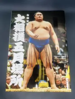 2026年最新】日本相撲協会の人気アイテム - メルカリ