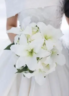 Item thumbnail for item 53e32483-7308-4fac-98b7-5bcf359bdc63