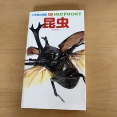 昆虫
