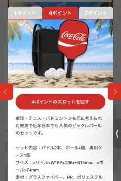 新品 非売品 コカコーラ ピックルボール パドル2本ボール 4個 収納バッグ付