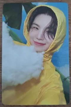 SEVENTEENTH HEAVEN Carat盤 ウジ ②