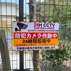 Item thumbnail for item d526f1bf-8b81-4d48-9b3d-9a8ec279192d