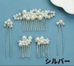 バール行事髪飾り ヘアピン ヘアアクセサリー ドレス【5点セット】シルバー