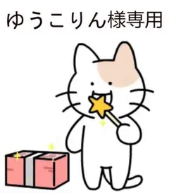 ゆうこりん 様 専用ページ