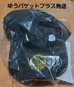 【新品未開封】ゆうパケットプラス発送 エディオン予約特典 ぽこポケ メタモン帽子