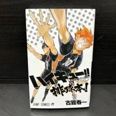ハイキュー!! コンプリートガイドブック 排球本!