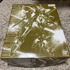 マスターグレード　Kämpfer Schwern プレバン限定　新品未開封 Metal Build Kampfer KAMPFER Gundam 0080 war in the pocket
