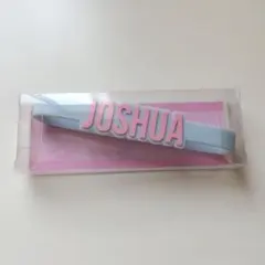 SEVENTEEN セブチ ジョシュア ペンライトアクセサリー - メルカリ