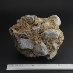さざれ石（石灰質角礫岩 W22.8cm/D18.5cm/H17.5cm）093