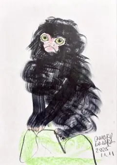 2025年最新】木原千春 5分間ドローイングの人気アイテム - メルカリ