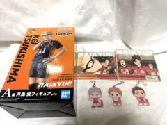 ハイキュー　一番くじ　ゴミ捨て場の決戦2 フィギュア月島蛍