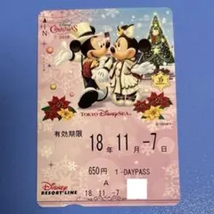 ディズニー リゾートライン フリーきっぷ 2018 クリスマス 使用済み