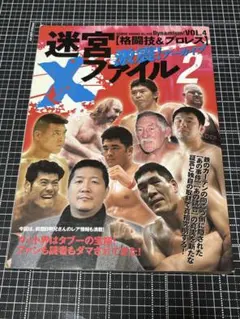 ⭐︎迷宮Xファイル2 格闘技＆プロレス 激震！アーカイブ⭐︎