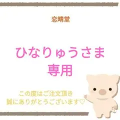 ひなりゅうさま専用