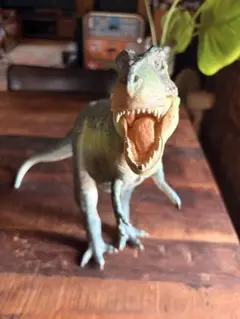 Z*a様 レトロソフビ テラノサウルス 恐竜 怪獣 Z*a様 レトロソフビ テラノサウルス 恐竜 怪獣 - メルカリ