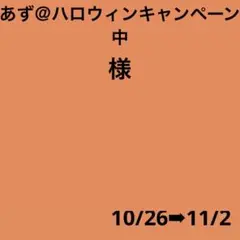 あず＠ハロウィンキャンペーン中様 リクエスト 2点 まとめ商品