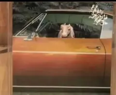 2026年最新】GREEN assassin dollar cdの人気アイテム - メルカリ