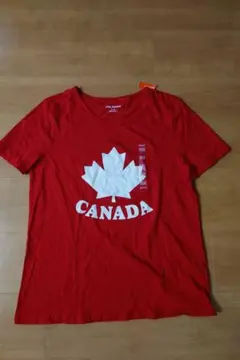 Item thumbnail for item b3f64e5f-b6ba-42aa-9553-94290ae4e4a9