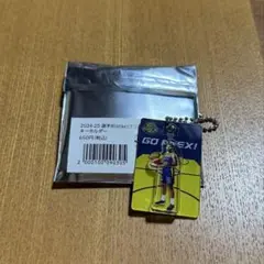 宇都宮ブレックス ブリスタズ DJニュービル