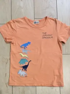 KID BOY 恐竜 Tシャツ オレンジ　120