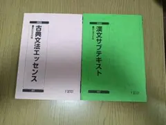 駿台　予備校　テキスト　古典文法エッセンス　漢文サブテキスト