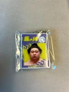 Item thumbnail for item c0e56475-6f6b-483f-b3b4-ad21f0e42bbe