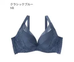 クラシックブルー レース付きブラジャー