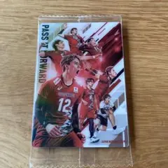 バレーボール男子日本代表　ウエハース　集合　石川祐希選手他
