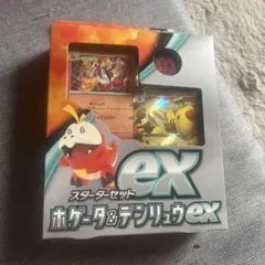 ポケモンカードゲーム スターターセット ホゲータ&デンリュウex