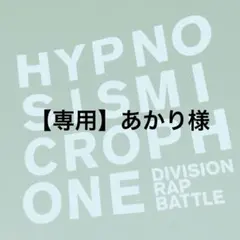 【専用出品】あかり様