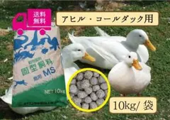 アヒル・コールダック飼育繁殖·ヒナにも】 3種セット 1kg×3袋 - メルカリ