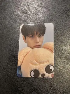 straykids スンミン ぬいぐるみ ラントレ トレカ グッズ まとめ売り straykids スンミン ぬいぐるみ ラントレ トレカ グッズ まとめ