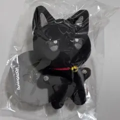 aniteez アイドル