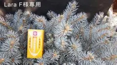 2025年最新】プンゲンストウヒ ホプシーの人気アイテム - メルカリ