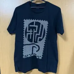 平沢進 ミュージシャン