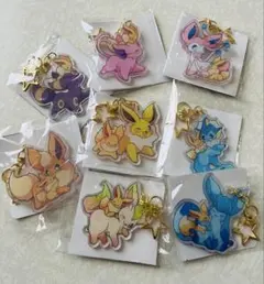 ポケモン チャーム