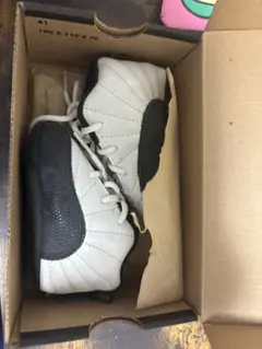 Nike Air Jordan XII