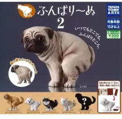 パグ カプセルトイ