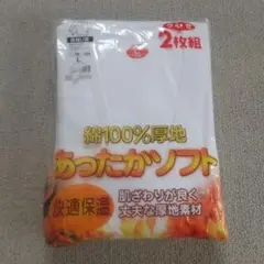 グンゼ紳士用肌着(長袖) Lサイズ 2枚組