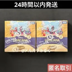 2025年最新】ロルカナ ボックス 未開封の人気アイテム - メルカリ