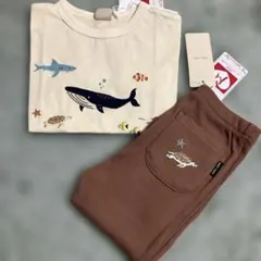 petit main 海洋生物プリント Tシャツとボトムスセット100