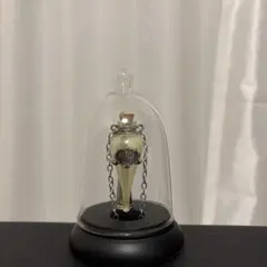 ハリーポッター　フェリックスフェリシス　ノーブルコレクション