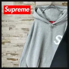 3877U【人気デザイン】シュプリーム☆刺繍Sロゴ 色切り替え パーカー グレー